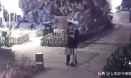 沧州吃瓜爆料事件视频曝光,视频曝光事件真相揭秘