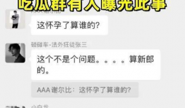 郑州吃瓜爆料聊天记录,一场网络热议背后的真相