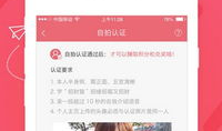91直播密码房子,揭秘虚拟房产的奇幻之旅