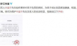 娱乐圈吃瓜帖子是什么,揭秘明星背后的故事