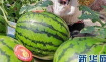 更多网红吃瓜爆料视频,揭秘娱乐圈幕后真相